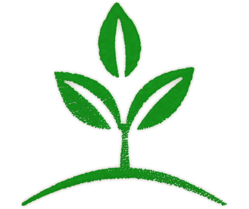 Ancillary Logo